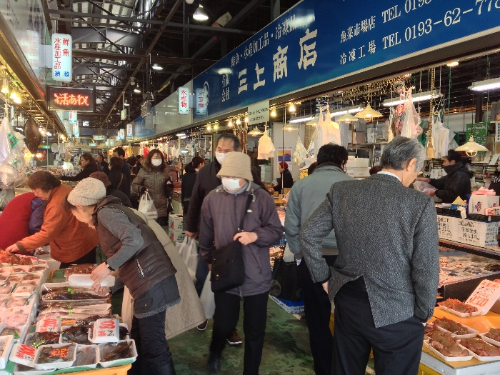 市場 宮古 入船情報｜宮古市魚市場