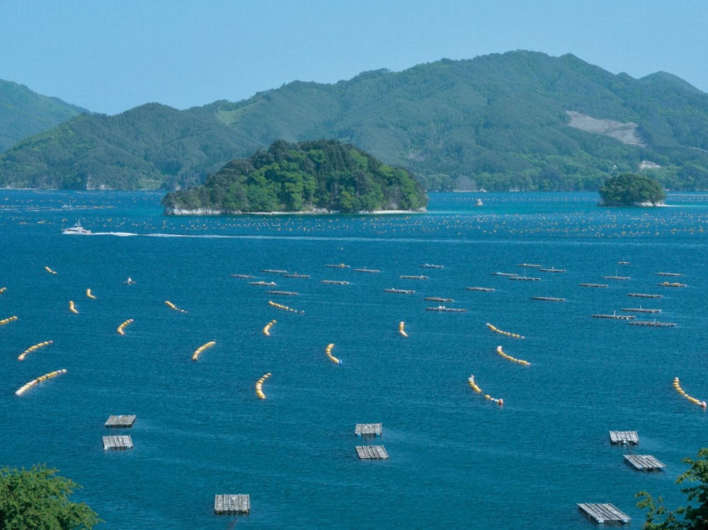 オランダ島