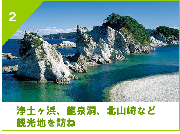 浄土ヶ浜、龍泉洞、北山崎など観光地を訪ね