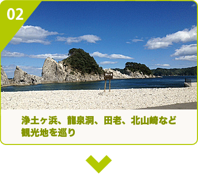 浄土ヶ浜、龍泉洞、田老、北山崎など観光地を巡り